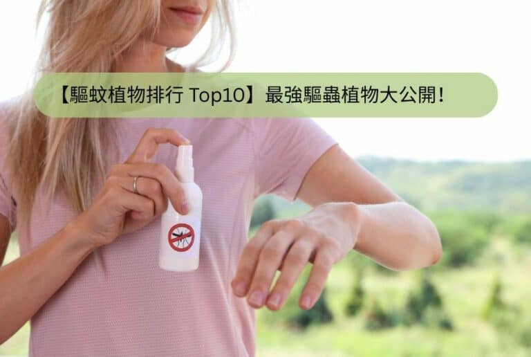 驅蚊植物排行