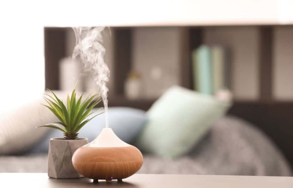 檸檬草精油 日常保健應用